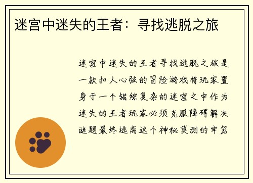 迷宫中迷失的王者:寻找逃脱之旅